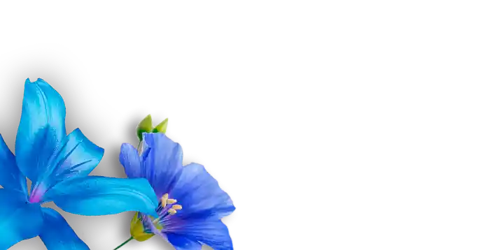 Fondo flores azules