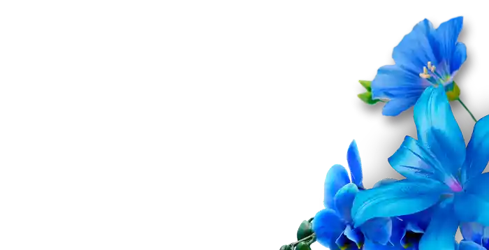 Fondo flores azules