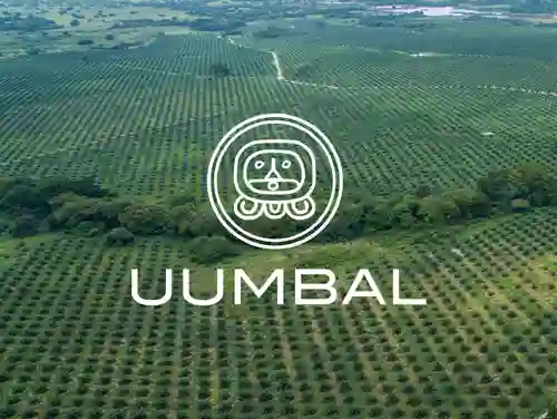 Logo UUMBAL